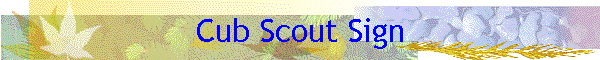 Cub Scout Sign